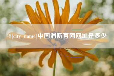 东明中国消防官网网址是多少