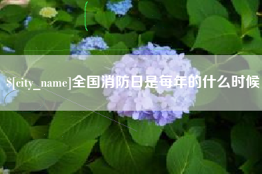东明全国消防日是每年的什么时候