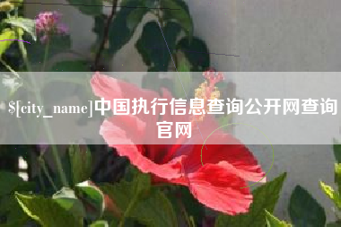 东明中国执行信息查询公开网查询官网