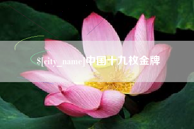 东明中国十九枚金牌
