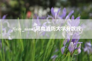 东明河南消防大学分数线