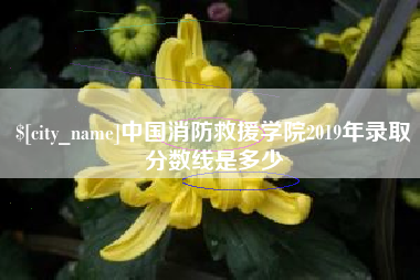 东明中国消防救援学院2019年录取分数线是多少