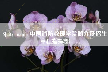 东明中国消防救援学院简介及招生章程指挥部