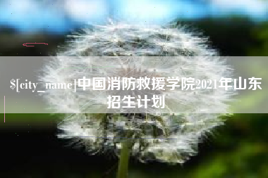 东明中国消防救援学院2021年山东招生计划