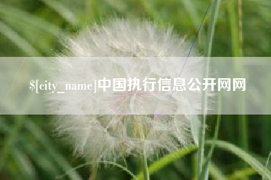 东明中国执行信息公开网网