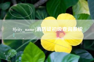 东明消防证初级查询系统