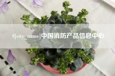 东明中国消防产品信息中心