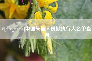 东明中国失信人员被执行人名单查询