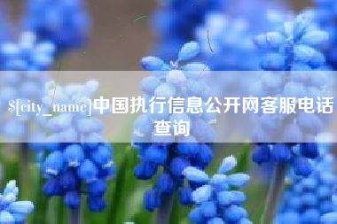 东明中国执行信息公开网客服电话查询