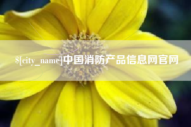 东明中国消防产品信息网官网
