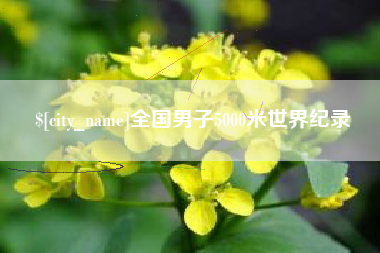 东明全国男子5000米世界纪录