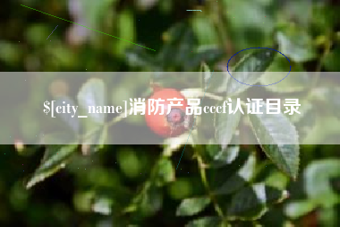 东明消防产品cccf认证目录