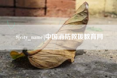 东明中国消防救援教育网