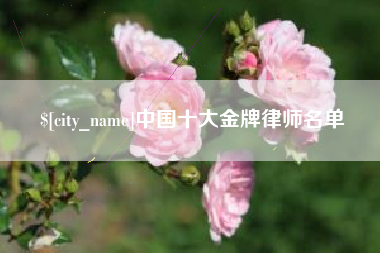 东明中国十大金牌律师名单
