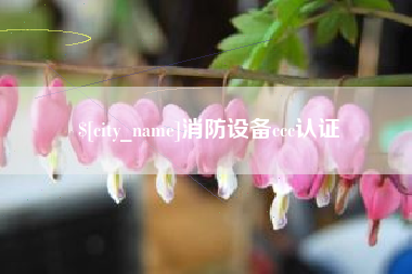 东明消防设备ccc认证