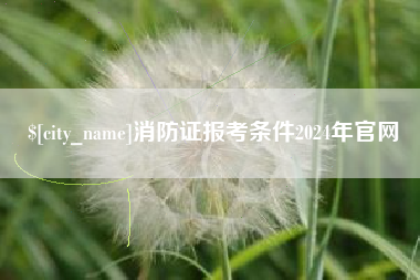 东明消防证报考条件2024年官网