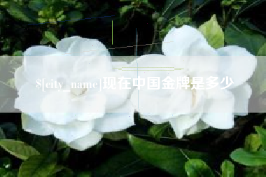 东明现在中国金牌是多少