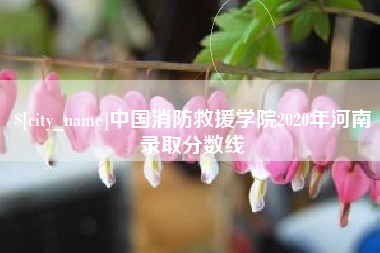 东明中国消防救援学院2020年河南录取分数线