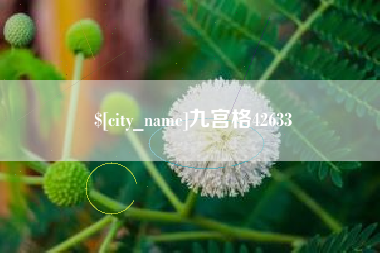 东明九宫格42633