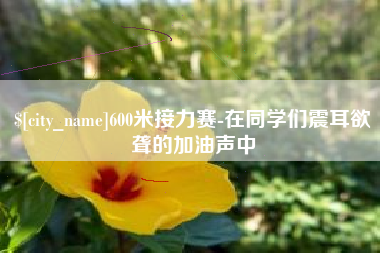 东明600米接力赛-在同学们震耳欲聋的加油声中