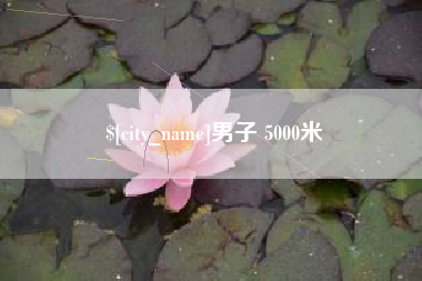东明男子 5000米