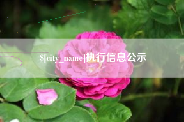 东明执行信息公示