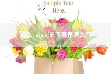 东明王子豪是怎么写