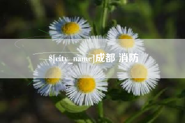 东明成都 消防