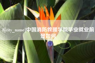 东明中国消防救援学院毕业就业前景如何