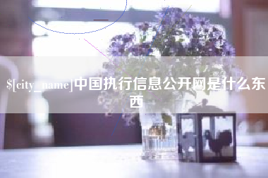东明中国执行信息公开网是什么东西