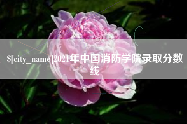 东明2021年中国消防学院录取分数线