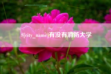 东明有没有消防大学
