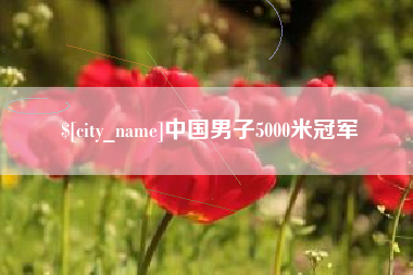 东明中国男子5000米冠军