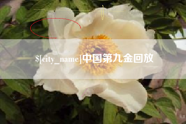东明中国第九金回放