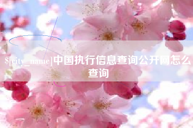 东明中国执行信息查询公开网怎么查询