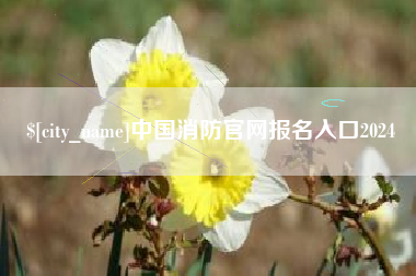 东明中国消防官网报名入口2024