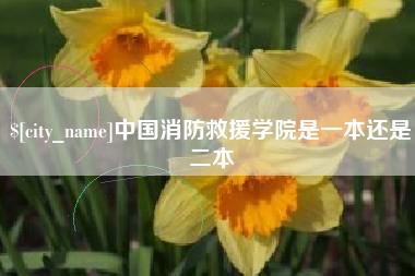 东明中国消防救援学院是一本还是二本