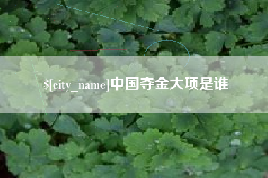 东明中国夺金大项是谁