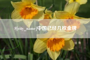 东明中国已经几枚金牌