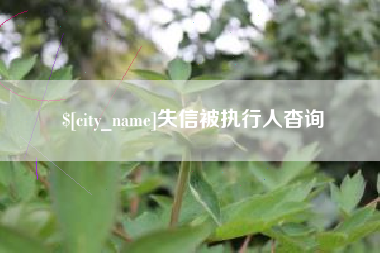 东明失信被执行人杳询