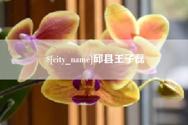 东明邱县王子磊