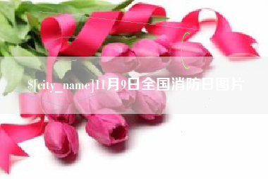 东明11月9日全国消防日图片