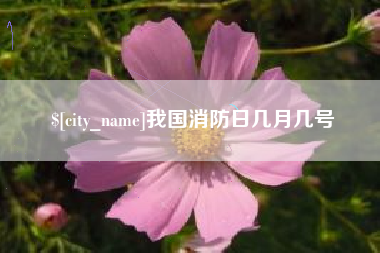 东明我国消防日几月几号