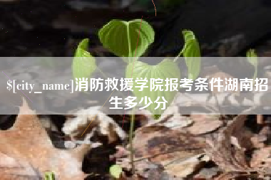 东明消防救援学院报考条件湖南招生多少分