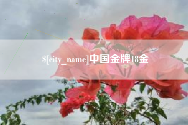 东明中国金牌18金