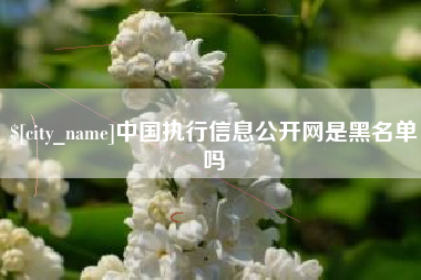 东明中国执行信息公开网是黑名单吗