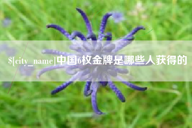 东明中国6枚金牌是哪些人获得的
