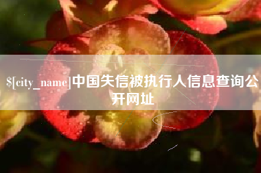 东明中国失信被执行人信息查询公开网址