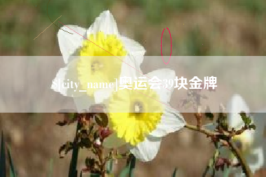 东明奥运会39块金牌
