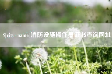 东明消防设施操作员证书查询网址